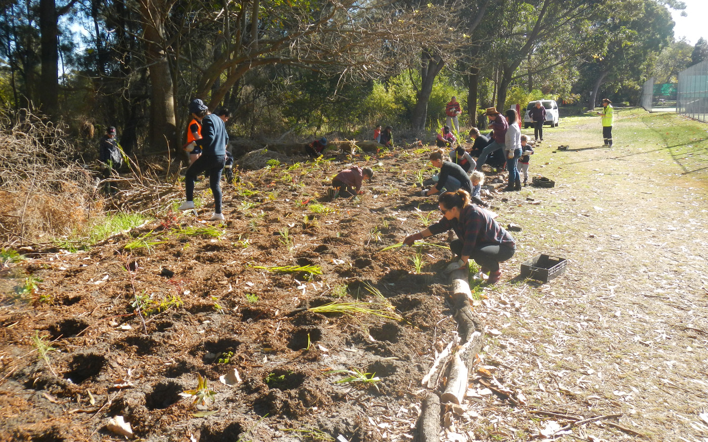 Bushcare