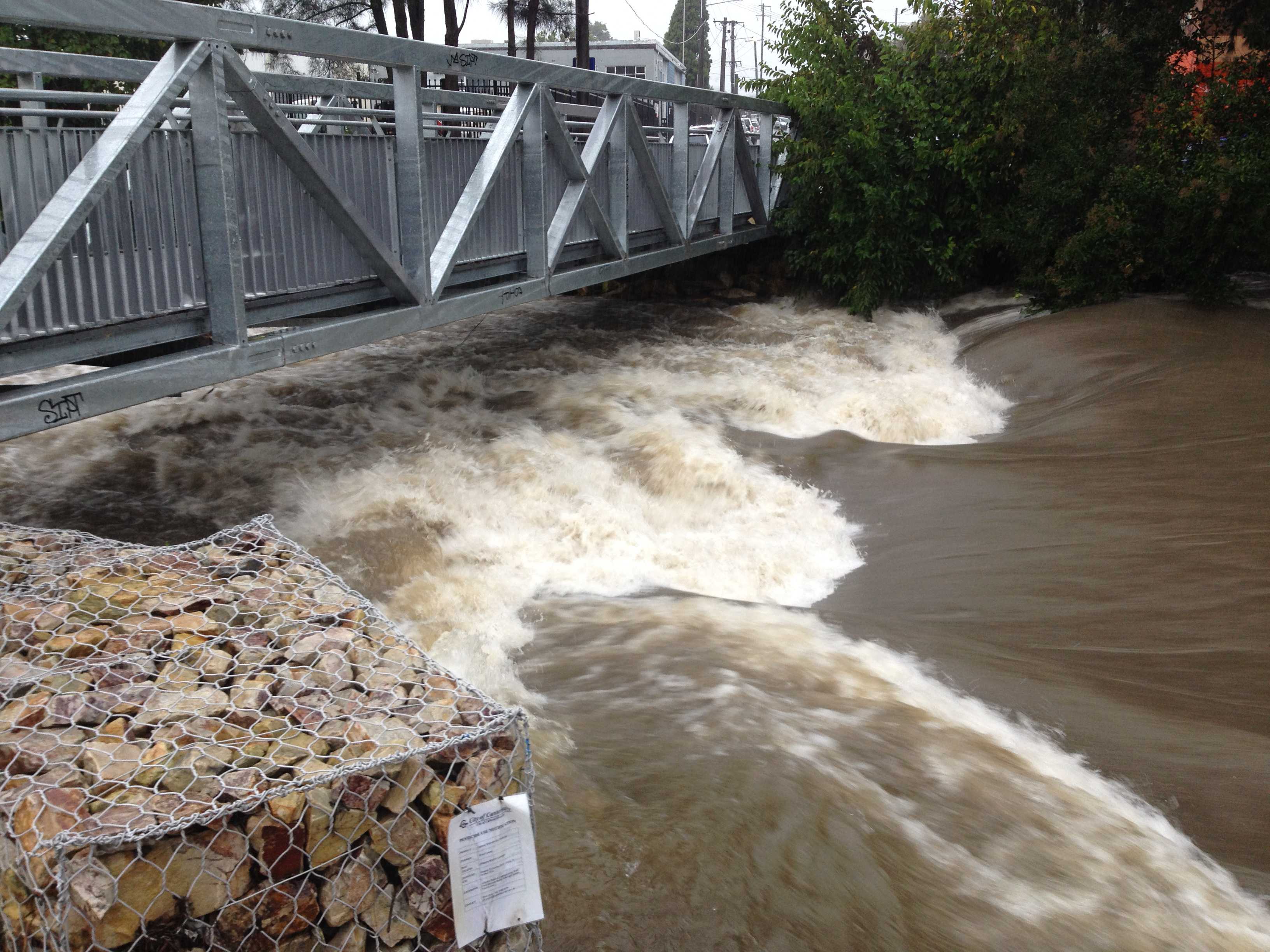 Bardwell Creek and Wolli Creek Catchment