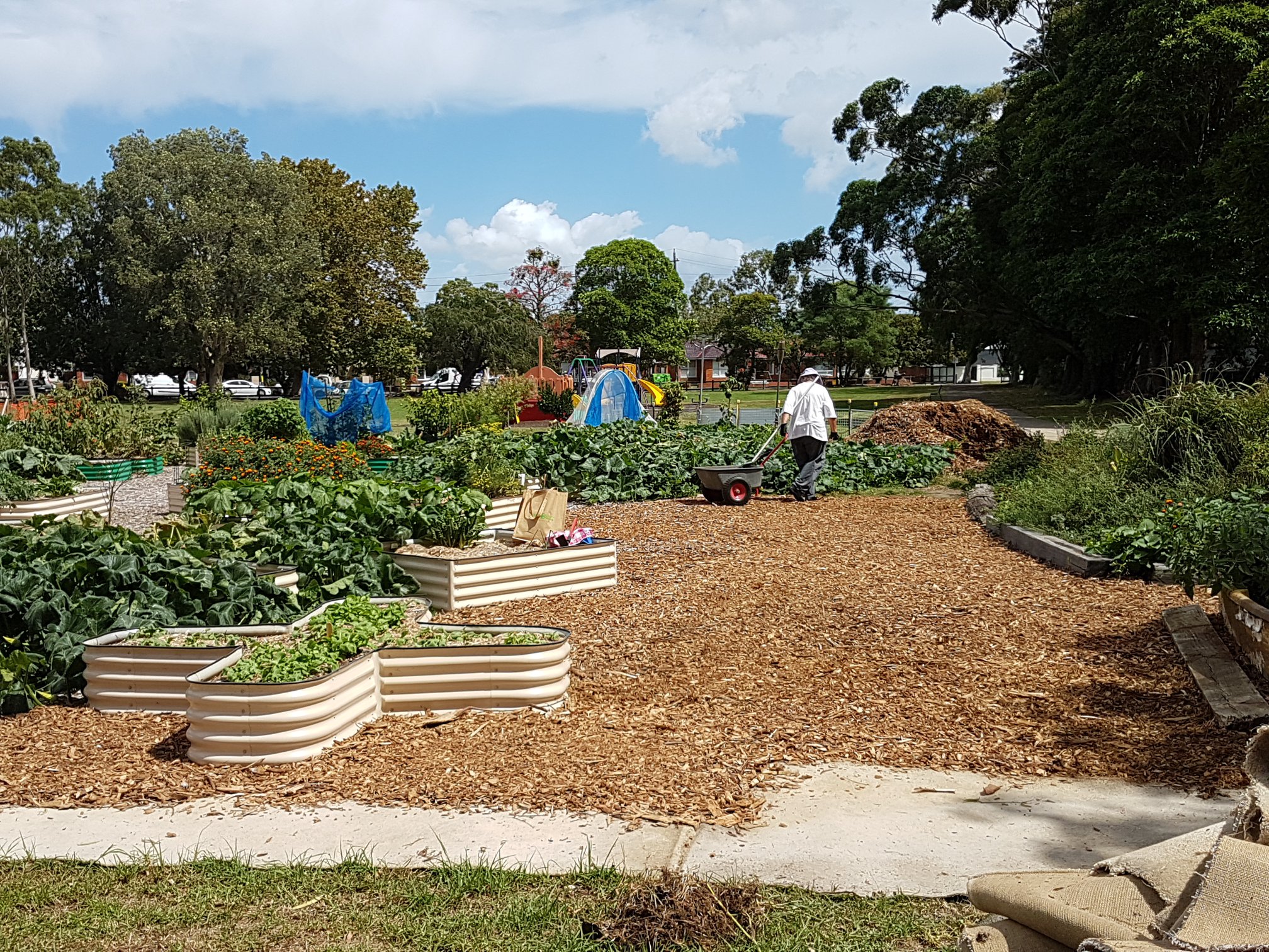 The Bay Community Garden