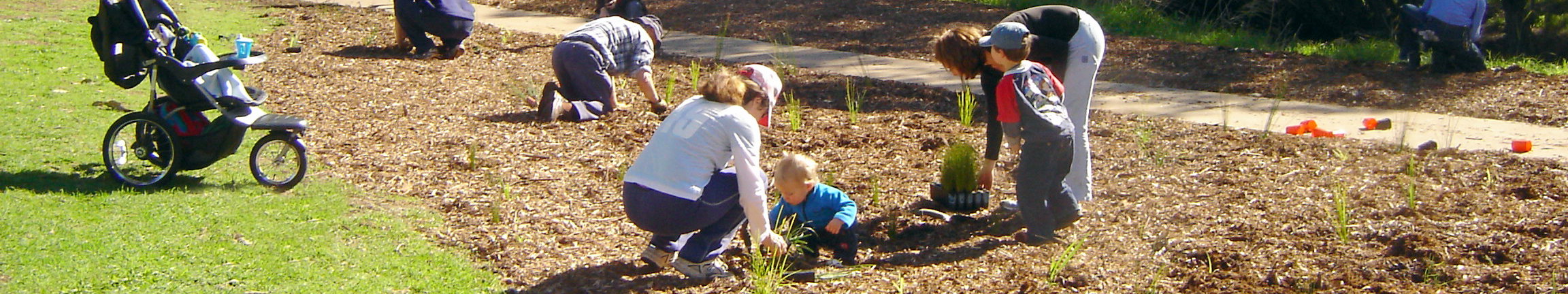 Plant a tree for mum