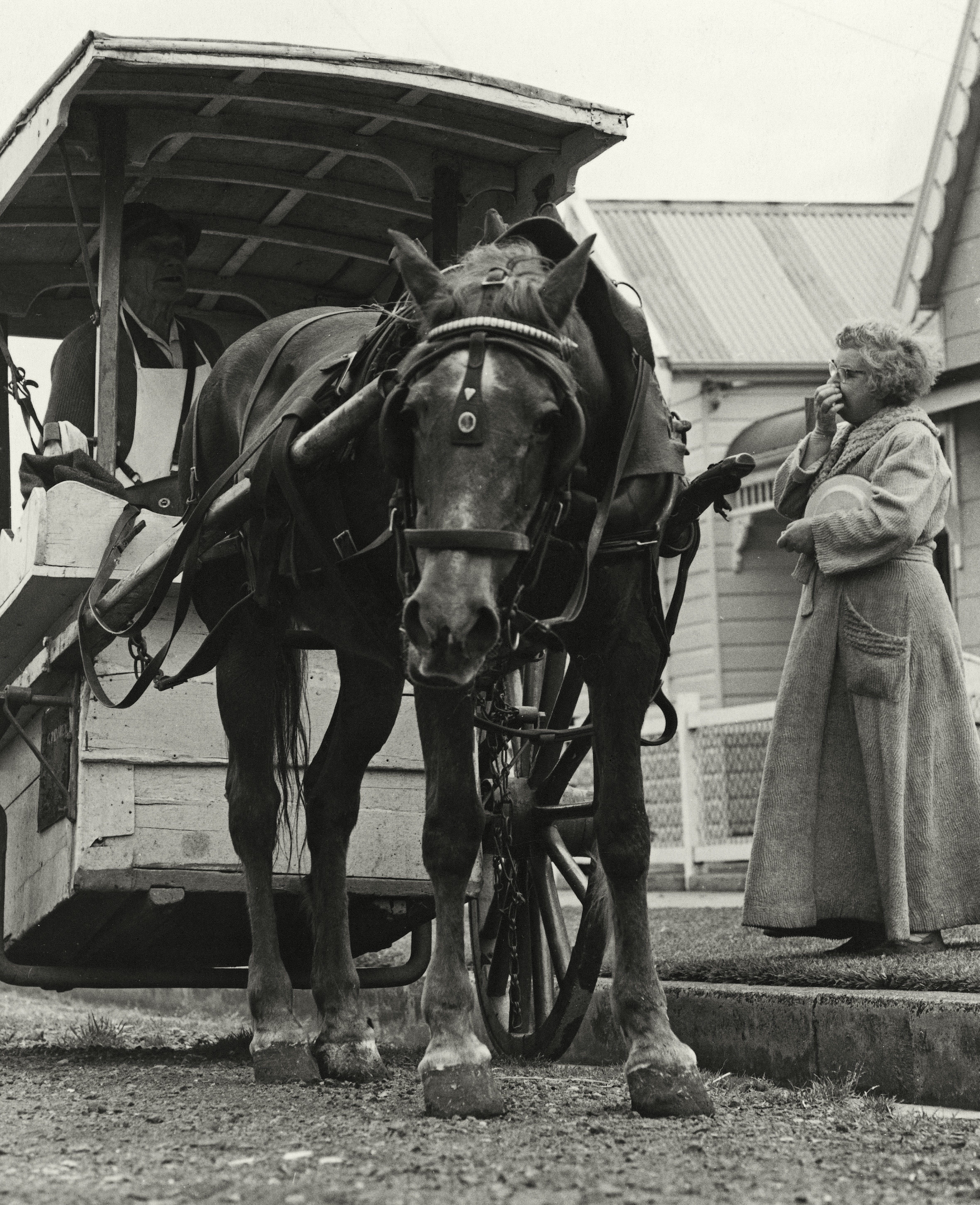 Historical photo of a woman standing next to a horse carriage