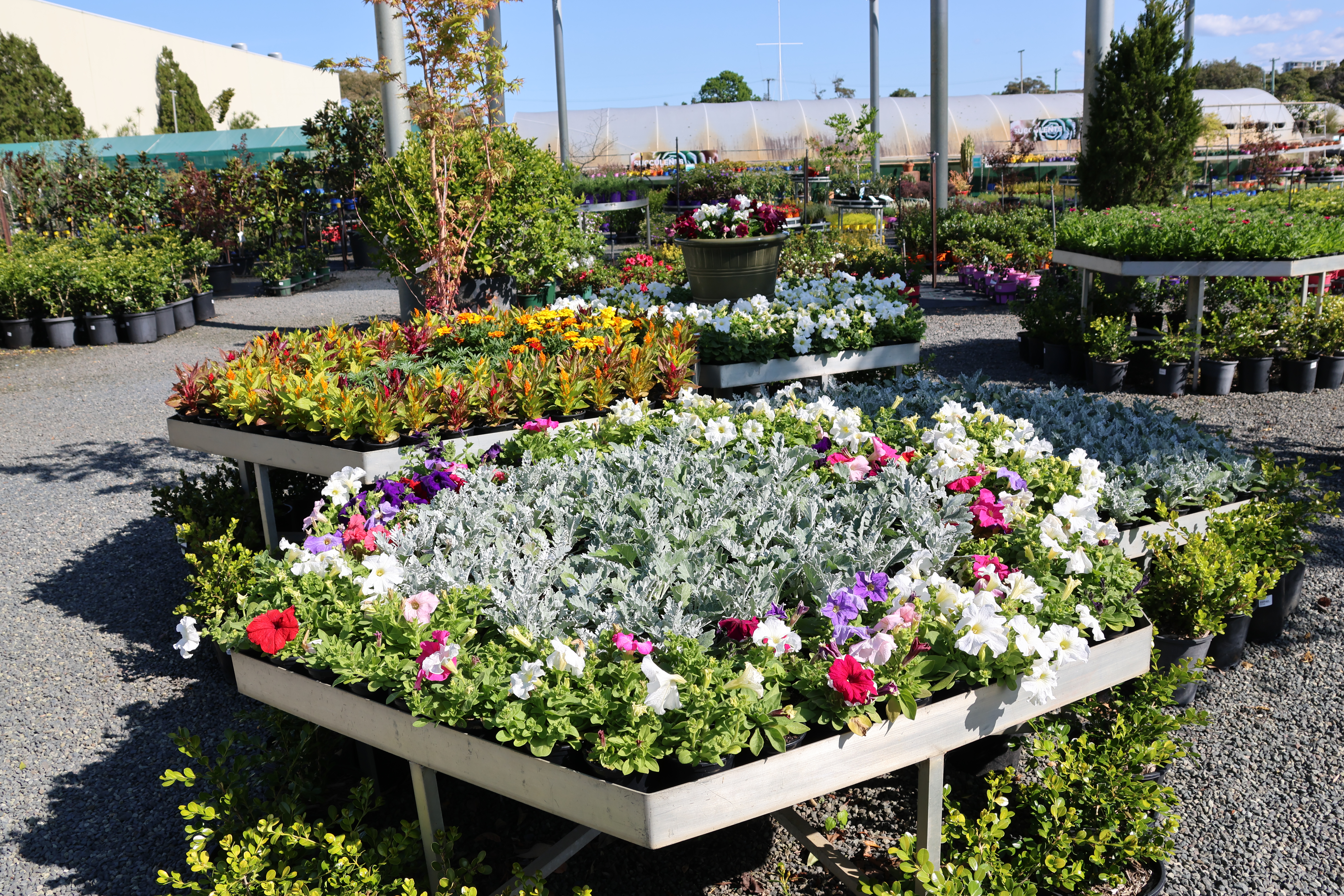 Bayside Garden Centre