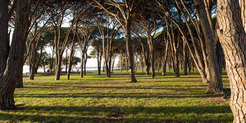 Botany Bay Foreshore