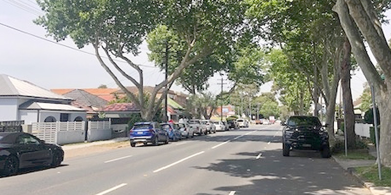 Tree Maintenance in Botany
