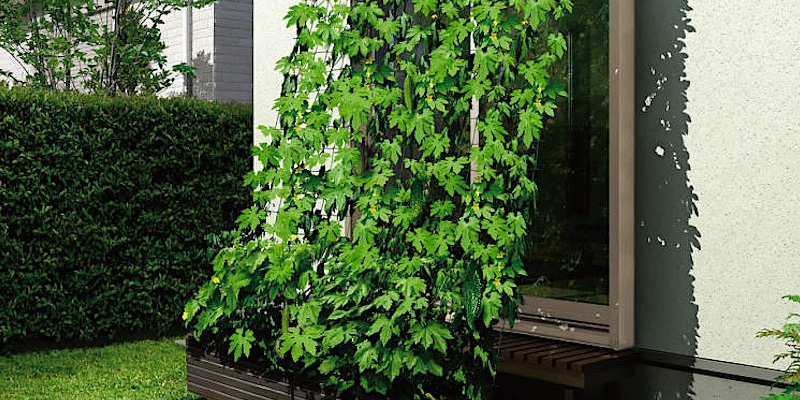 Green Curtain Workshop
