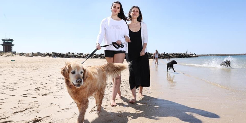 Responsible Pet Ownership