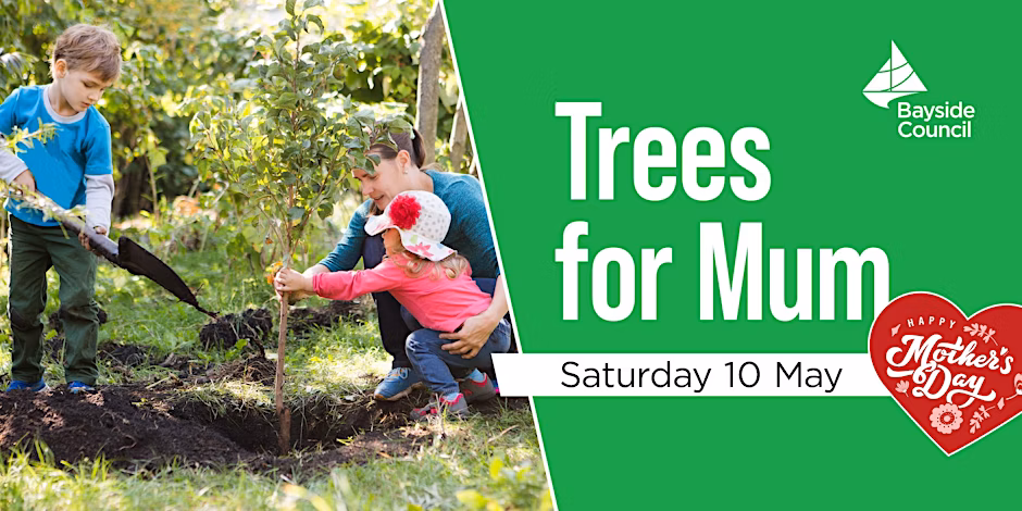 Trees for mum banner