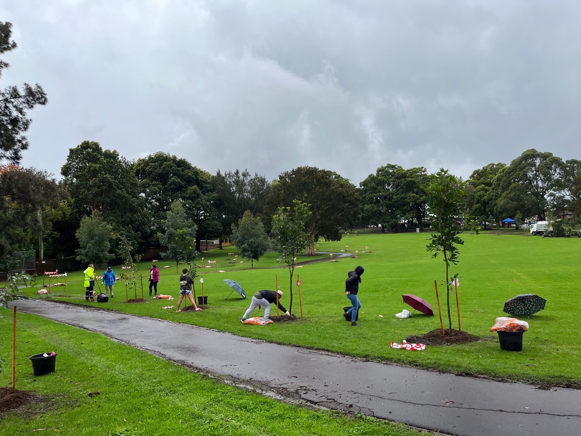 Tree planting