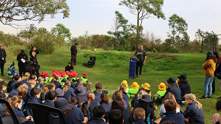 Bush Tucker Tour