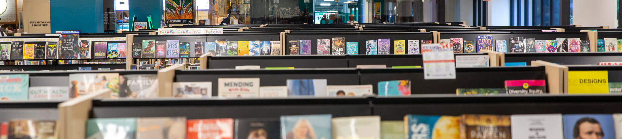 Library shelves