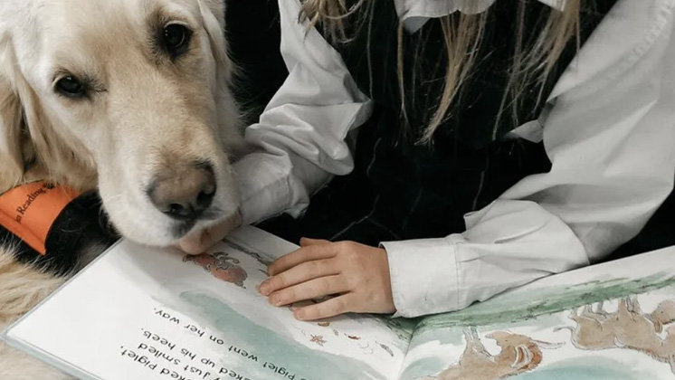Story Dogs reading time