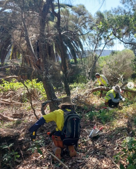 Scarborough Park Tree Planting