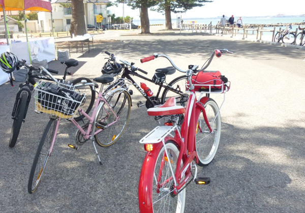 Walking and Cycling Committee