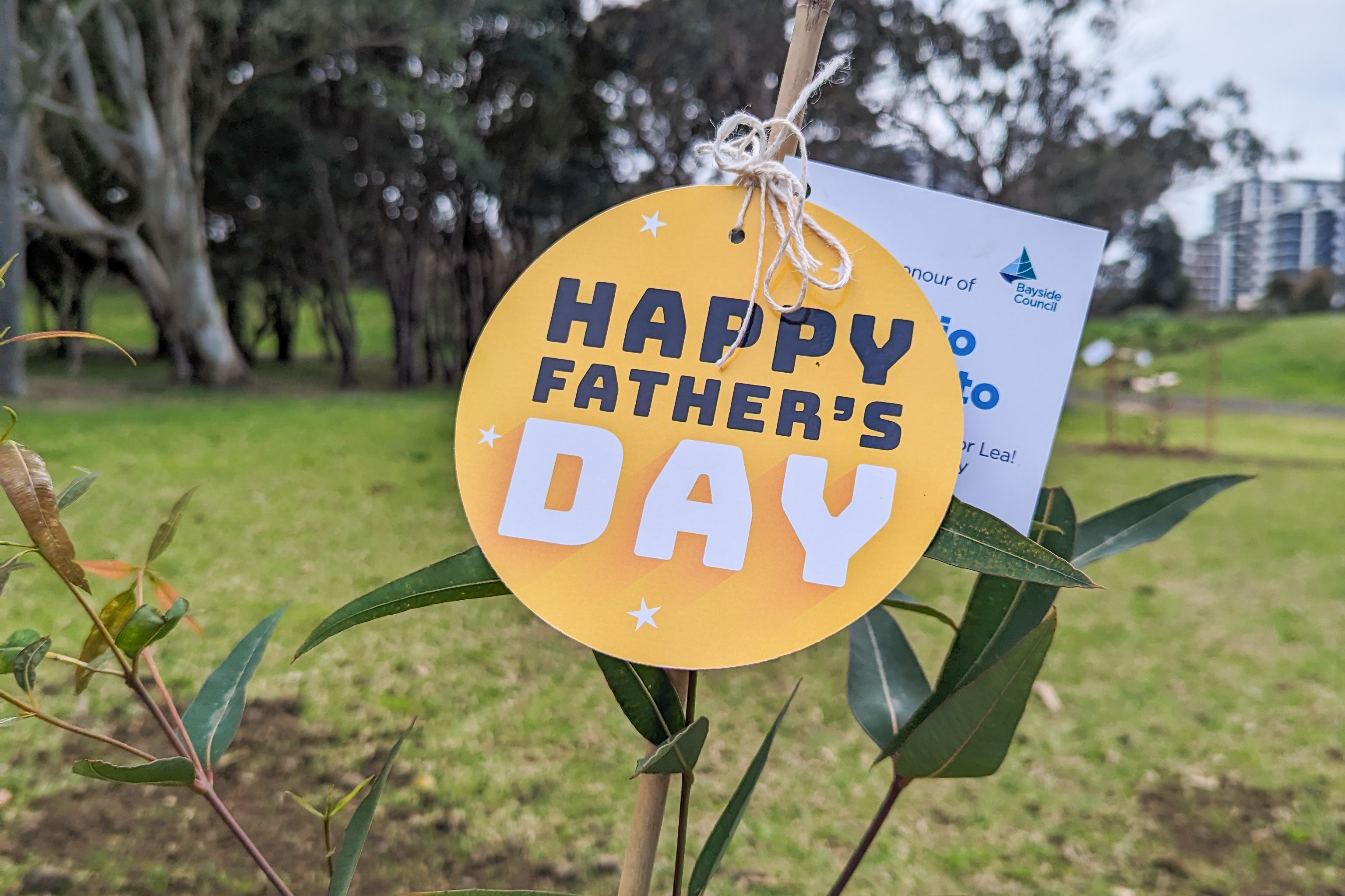 Trees for Dad