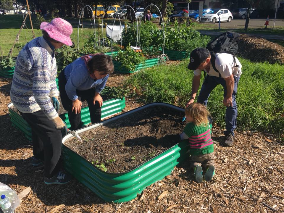 Join a community garden