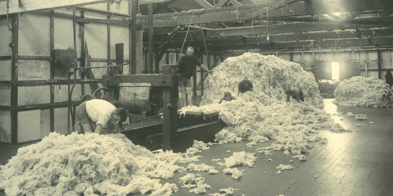 Botany Wool Industry