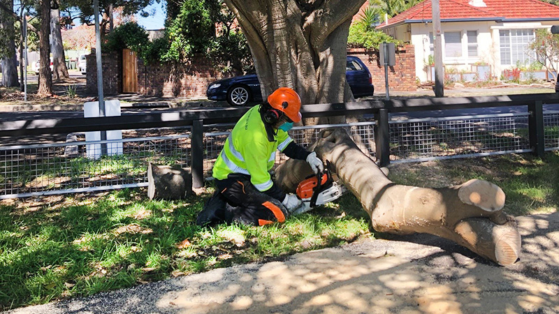 Workers remove the broken branch