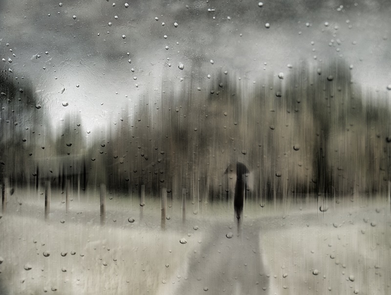 Open Category (Amateurs and Professionals) First Prize: The Path Not Taken by Yvonne Raulston