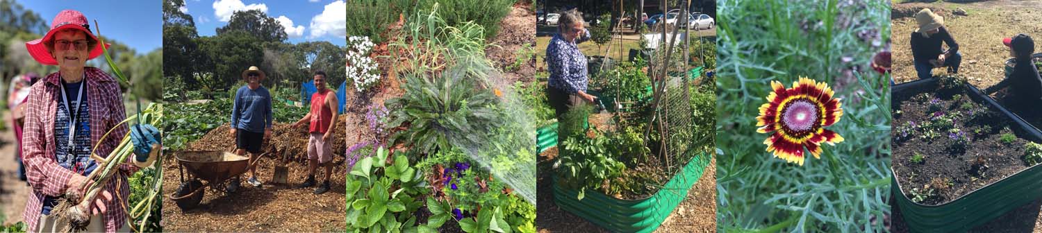 community gardens