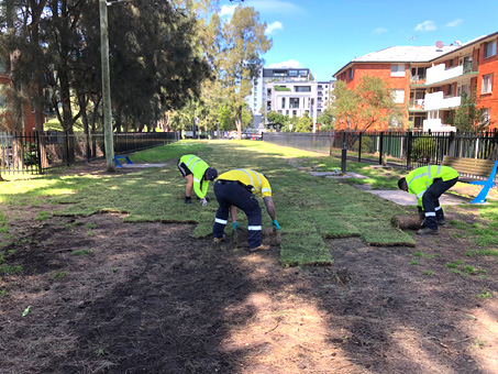 Dog Park Upgrade High Street Reserve Mascot