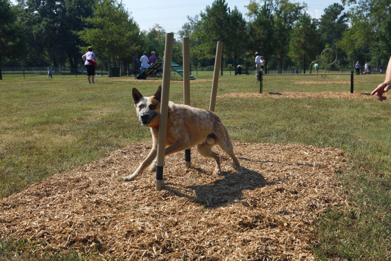 Dog weave logs