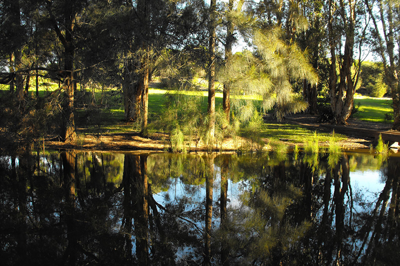 Living Sustainably Living Sustainably